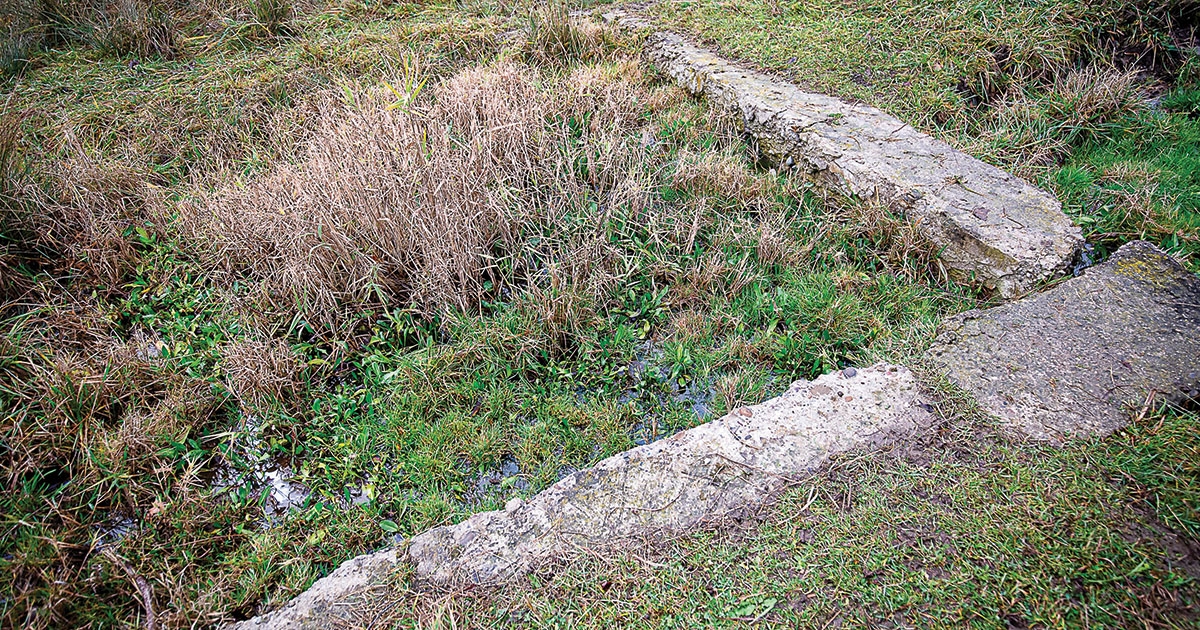 Gyógyírek a Köszörű‑kő aljából